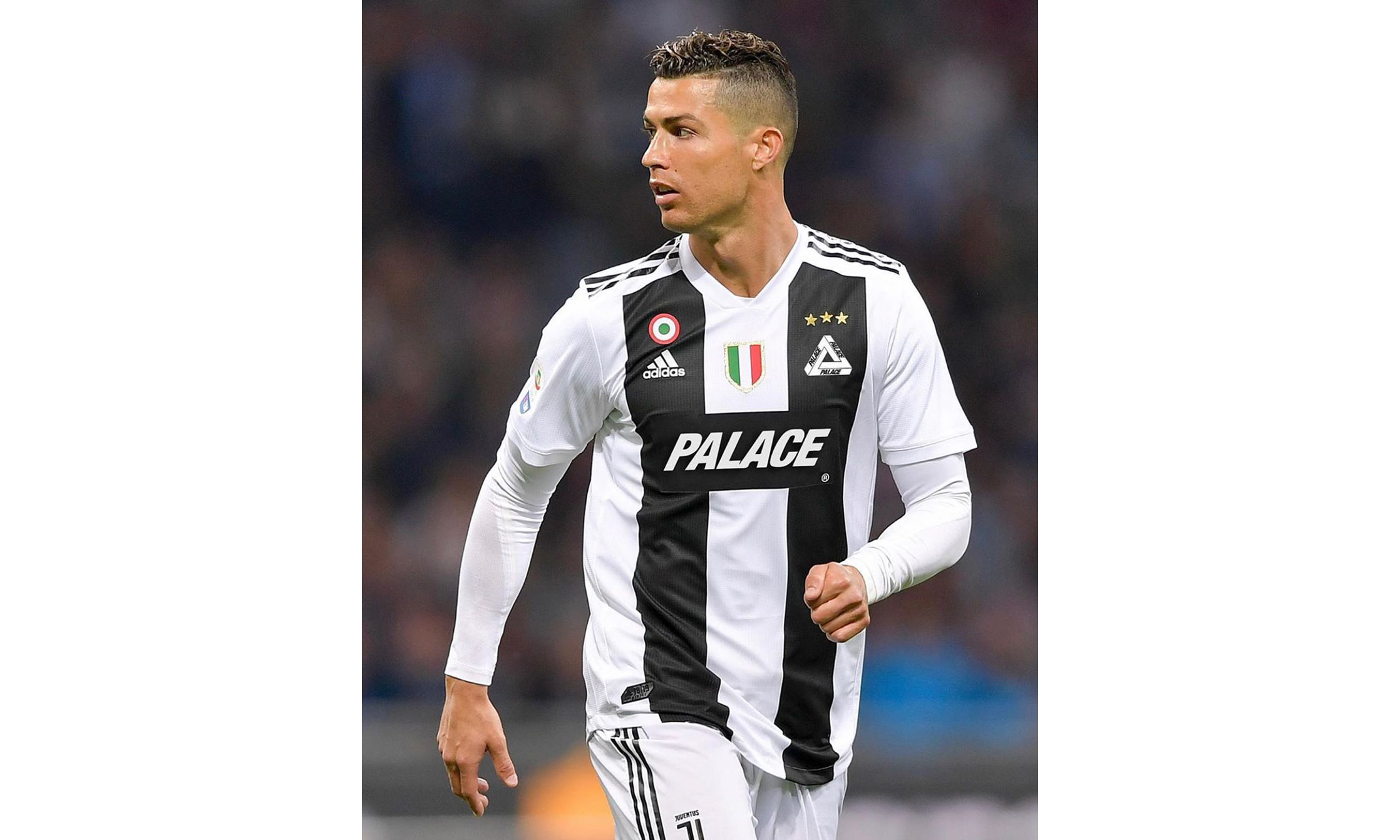 沃顿的课题 沃顿的课题